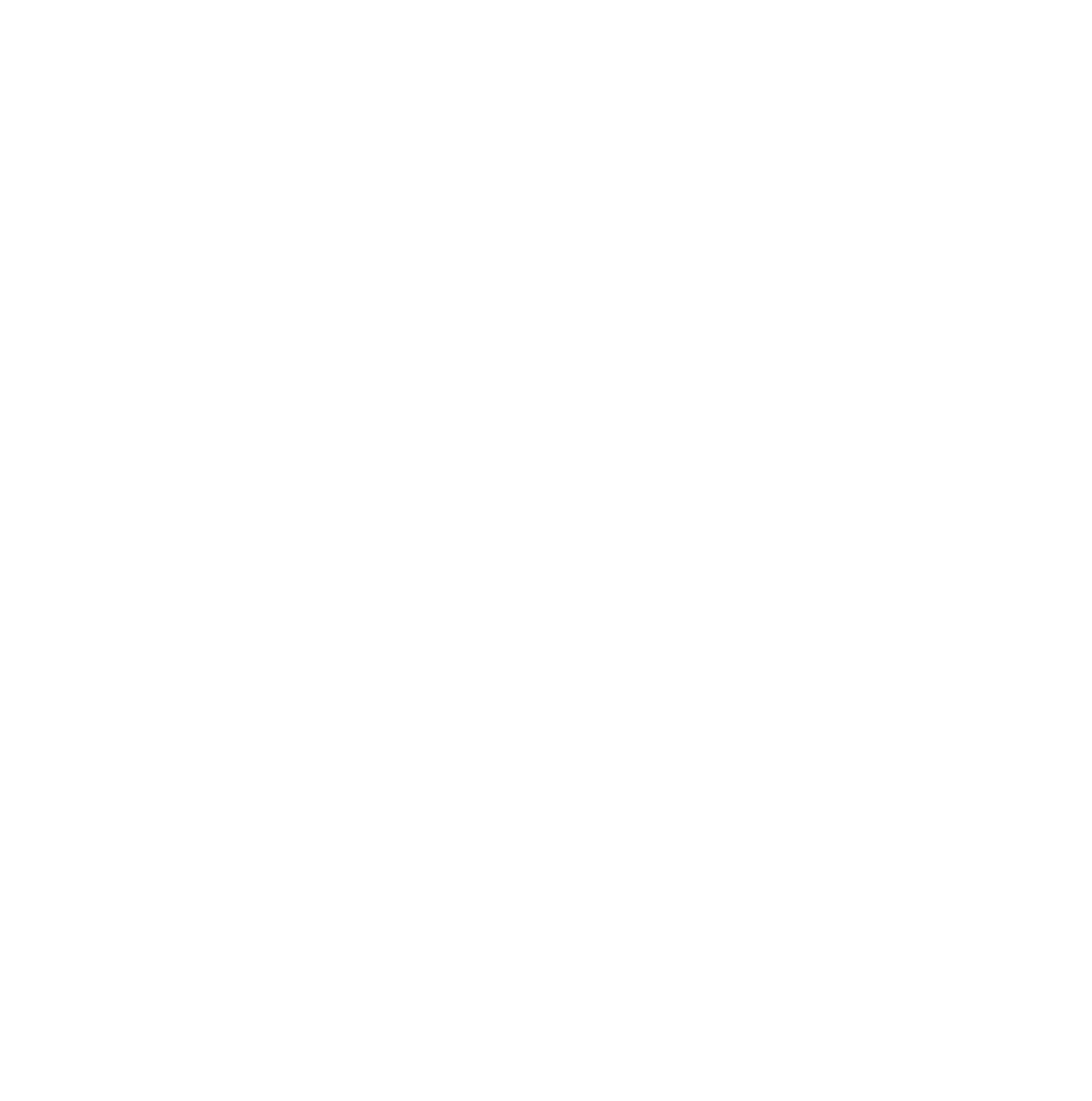 seguridadrcltda.com